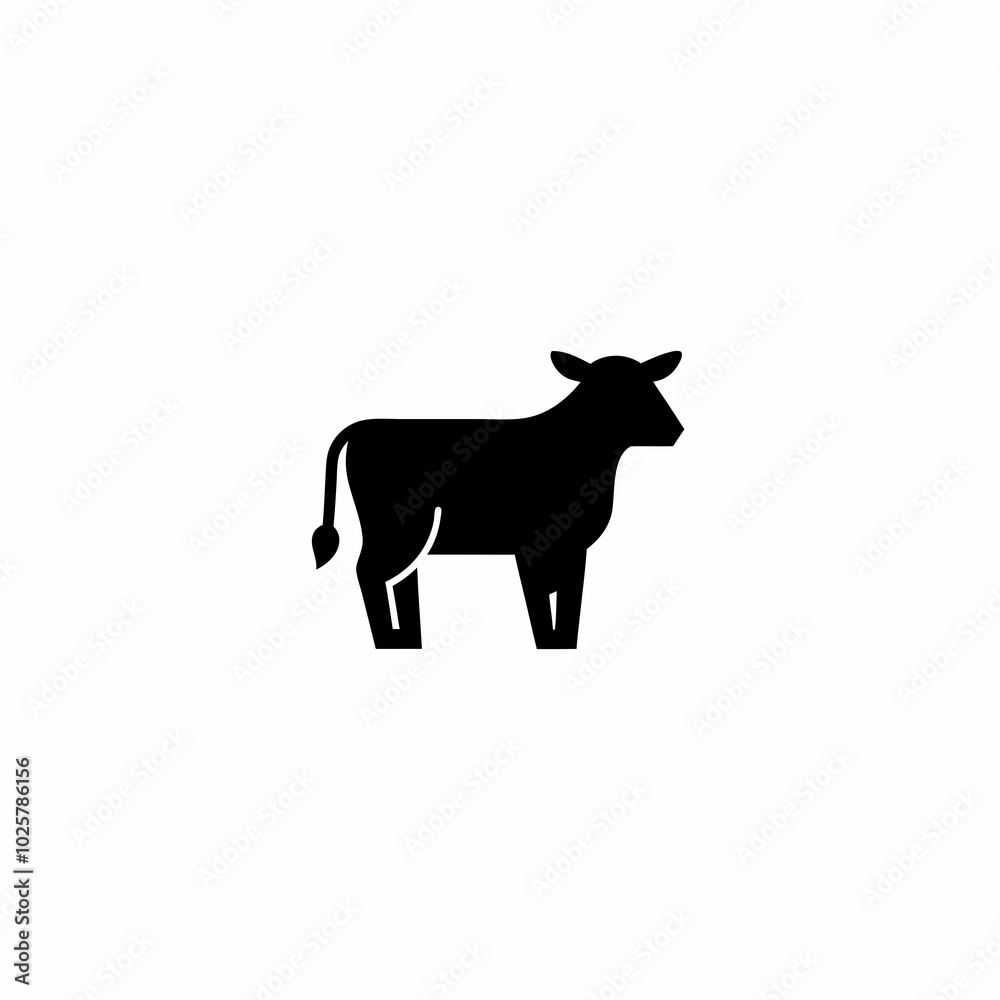 cow cow