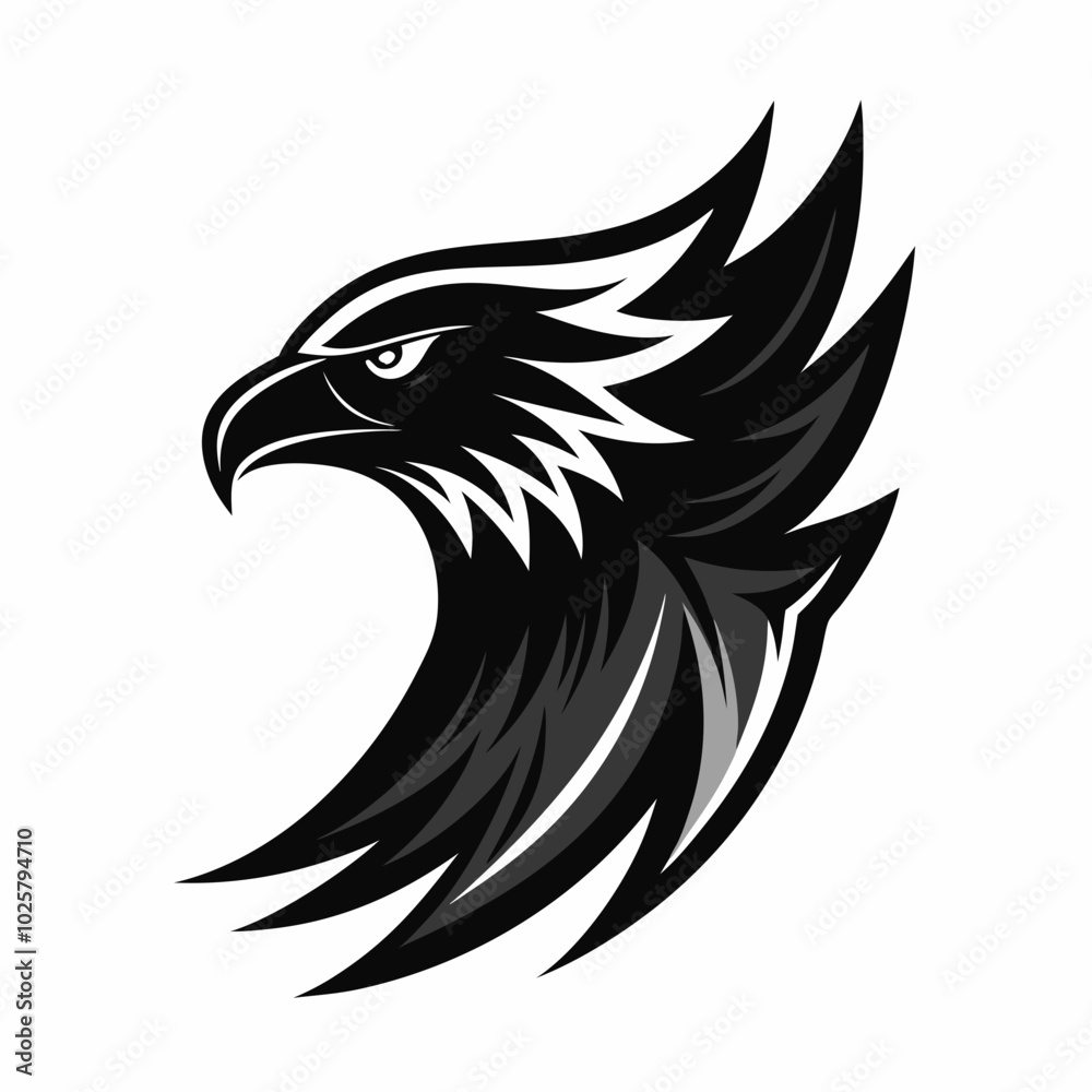 Fototapeta premium Eagle 