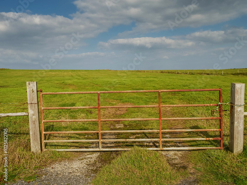 Old rusty metal gate into green grass field. Blue cloudy sky in the background. Access to a agriculture private land. Warm sunny day. Rural country area.