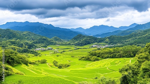 Lush Green Rice Terraces Nestled in a Mountain Valley