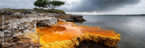  A sizable water expanse houses a solitary tree in its center, with a pool of yellow substance situated therein