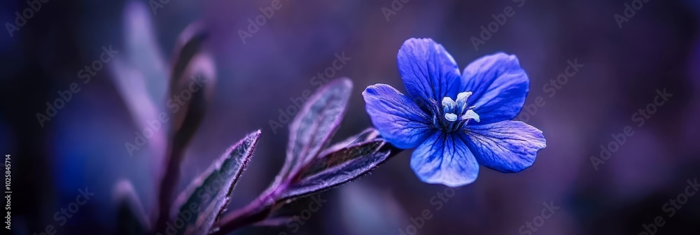 A blue flower sits atop a lush, green field, surrounded by purple plants with green leaves A blue flower sits atop a lush, green field, surrounded by purple plants with green leaves