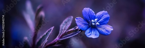  A blue flower sits atop a lush, green field, surrounded by purple plants with green leaves