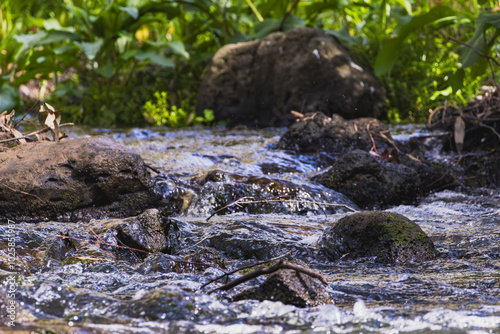 Jackson Creek, Organ Pipes National Park Melbourne