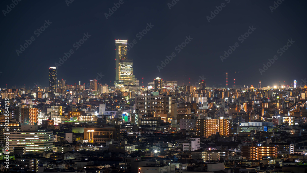 Obraz premium 東大阪から望む大阪市内の夜景
