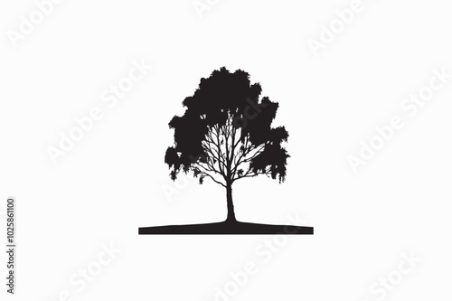 A Birch tree vector silhouette image adobe illustrator..eps