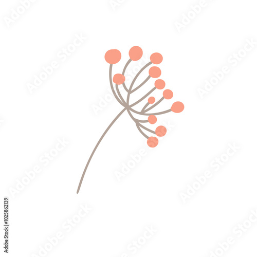 Guelder rose, autumn berries isolated on white background. Sprigs of rose hips, viburnum, cranberries. Vector hand-drawn illustration in line art