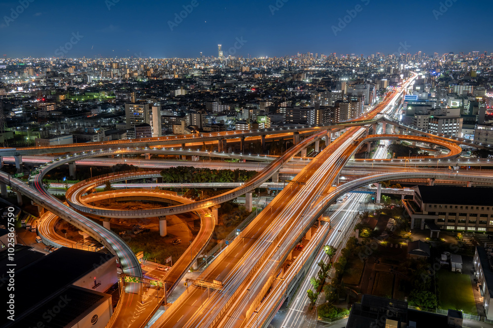 Obraz premium 東大阪から望む大阪市内の夜景