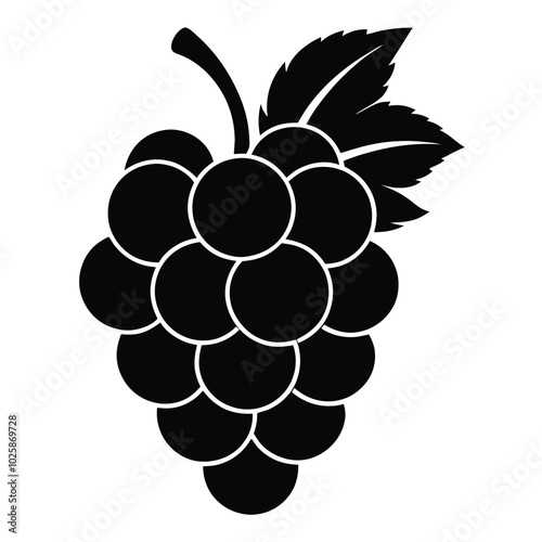 Grapes Outline Illustration Vector