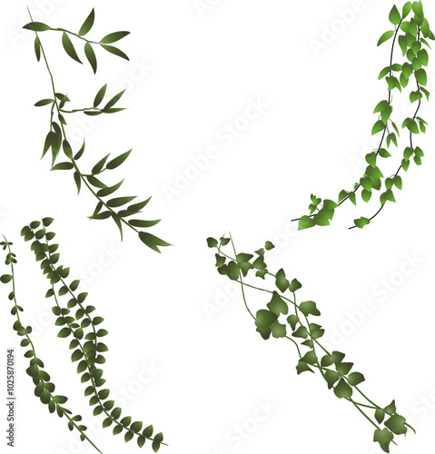 A collection of four distinct green vine illustrations featuring various leaf shapes and sizes. The vines showcase a natural, organic design, perfect for botanical themes.