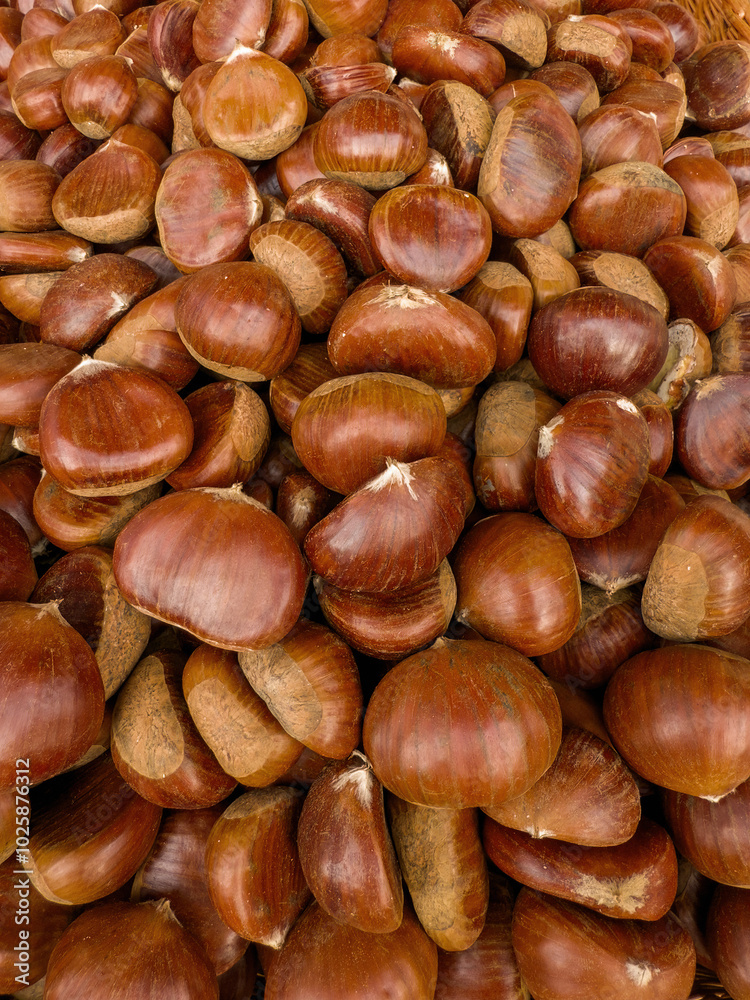 Fresh whole chestnuts background, close-up of autumn seasonal nuts Fresh whole chestnuts background, close-up of autumn seasonal nuts
