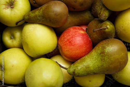 Pears and apples lie on top of each other
