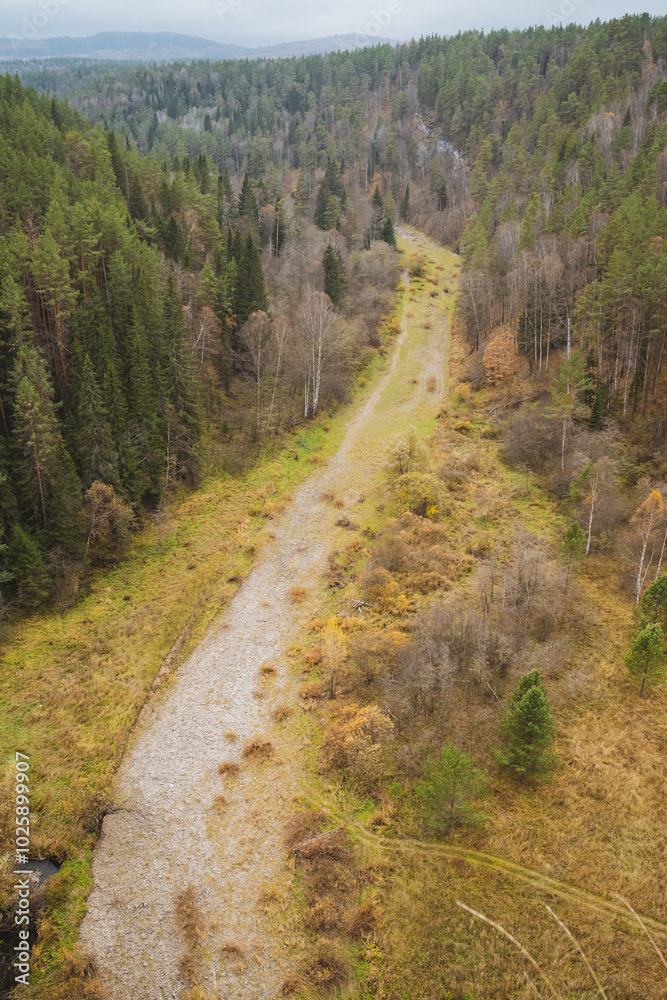 Fototapeta premium An expansive aerial view beautifully captures a winding dirt road as it weaves its way through a lush green forest, surrounded by tall, vibrant trees, all under the wide open sky above