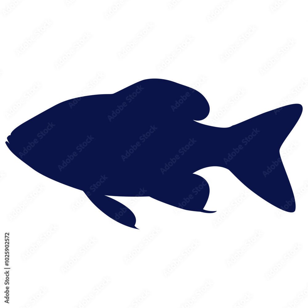 Fototapeta premium Fish Silhouette