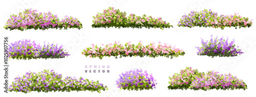 set of lavender flowers, Vector of tree or blooming  side view isolated on white background ,watercolor tree elevation for landscape concept,environment scene,eco design,blossom garden for spring