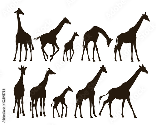 Sticker Set silhouettes of large and small giraffes.