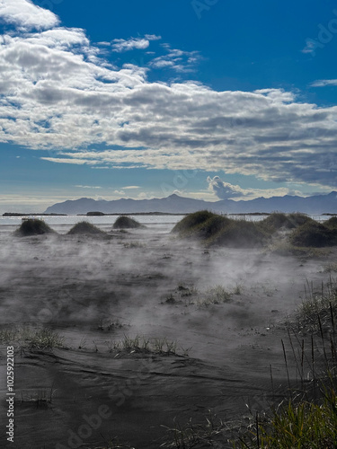 Úlfseyjarsandur, Black Beach Near Djúpivogur in Iceland