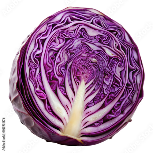 purple cabbage slice on alpha layer isolated on transparent background