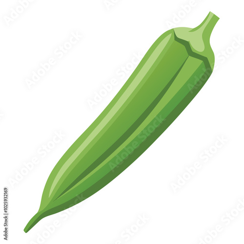 Okra vector illustration isolated on a white background