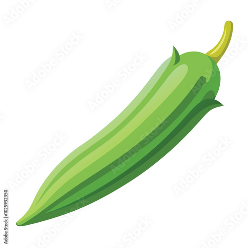 Okra vector illustration isolated on a white background