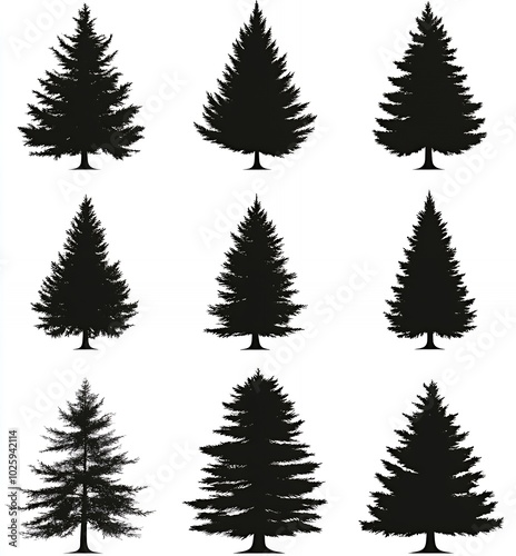 Silhouettes of nine evergreen trees