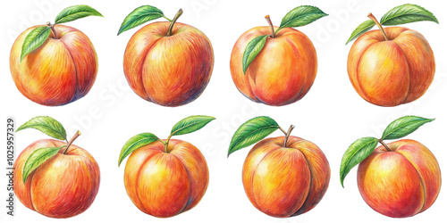 Hand Drawn illustration set of peach . isolate on a white background. PNG

