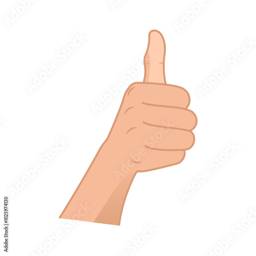 thumb up isolated illustration