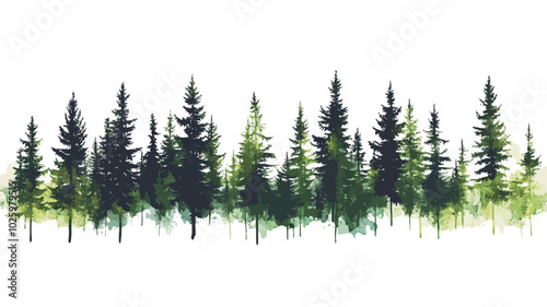 Watercolor painting of coniferous forest on white background. Vector illustration.
