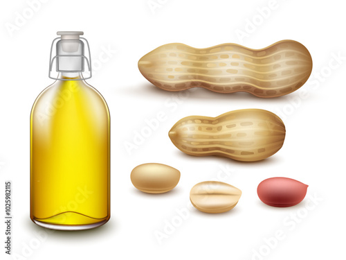 Realistic glass bottle peanut oil with peanut seeds and peanut pods on white background for advertising, web and etc.