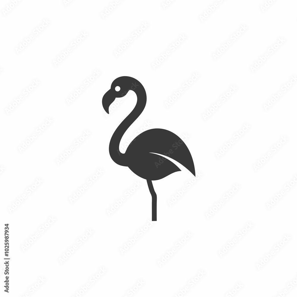 Fototapeta premium FLAMINGO