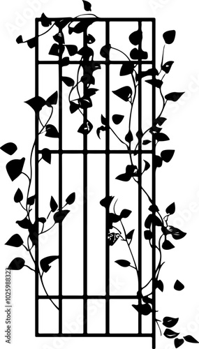Elegant Vector Illustration of a Vine on a Trellis