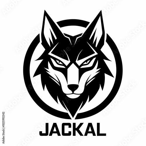 jackal