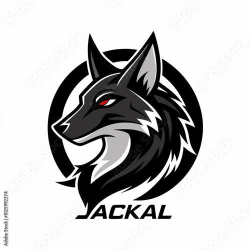 jackal