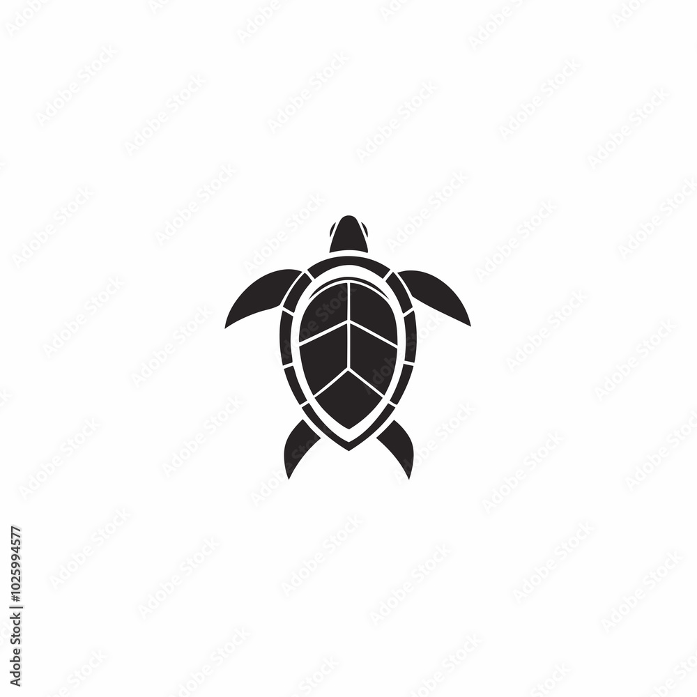 Obraz premium Hawksbill Turtle