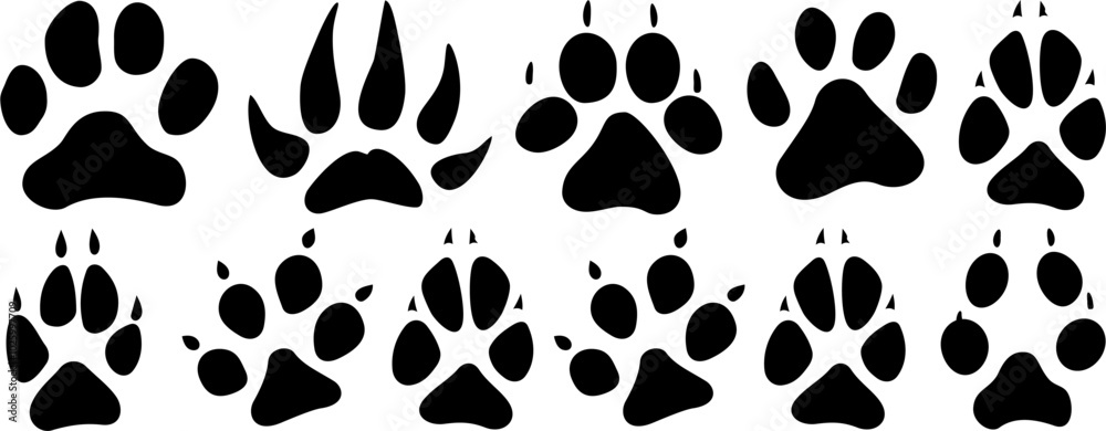 Fototapeta premium Vector set of animal paw prints in black, including various species footprints for wildlife, tracking, and nature-themed designs