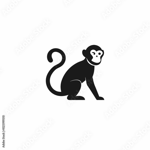 monkey