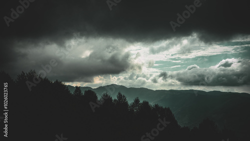 Forested valley under cloudy sky, Erbaa, Tokat, Turkey photo