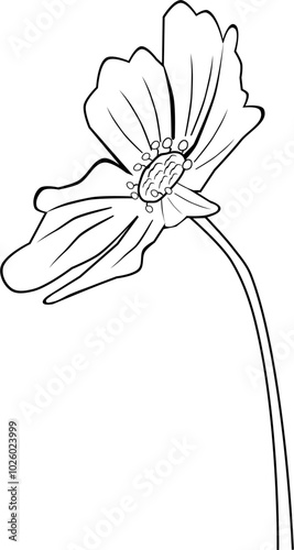 flower line art hand draw