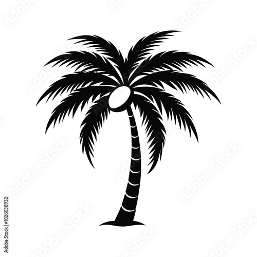 palm tree silhouette