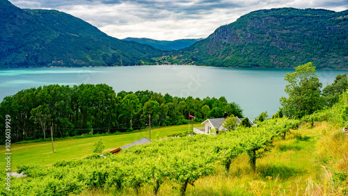 Bauernhof entlang des Sognefjords in Norwegen photo