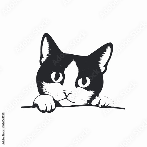 A black and white illustration of a curious cat peeking out from behind a surface, 