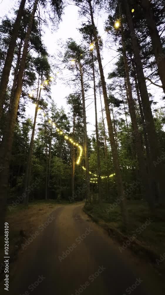 A winding forest path lit by warm string lights hanging between tall trees, creating a magical and serene atmosphere. Captured during twilight with a focus on the towering pines and the soft, glowing A winding forest path lit by warm string lights hanging between tall trees, creating a magical and serene atmosphere. Captured during twilight with a focus on the towering pines and the soft, glowing