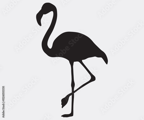 Flamingo silhouettes of birds, Flamingo silhouettes, large pack of vector silhouette design, isolated white background Artwork photo