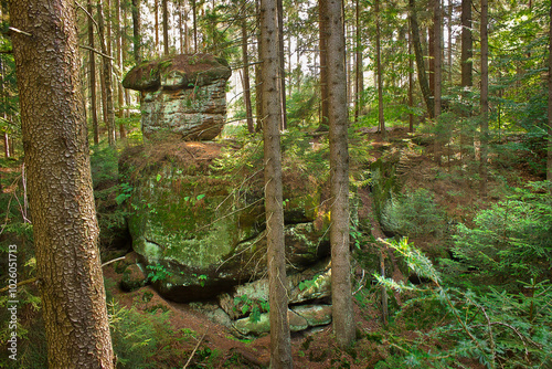 Fototapeta Naklejka Na Ścianę i Meble -  Landscape with picturesque rocks in the forest. Table mountains in Poland