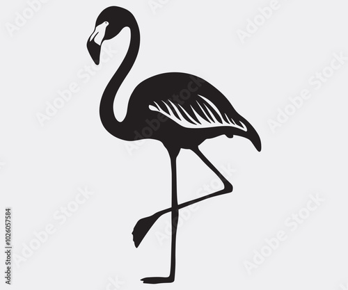 Flamingo silhouettes of birds, Flamingo silhouettes, large pack of vector silhouette design, isolated white background Artwork photo