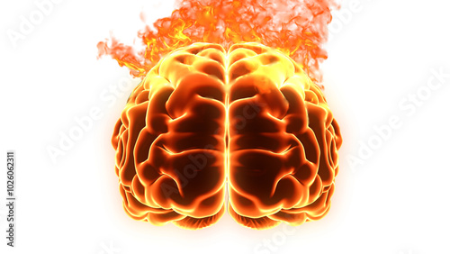 Burning Brain Fire