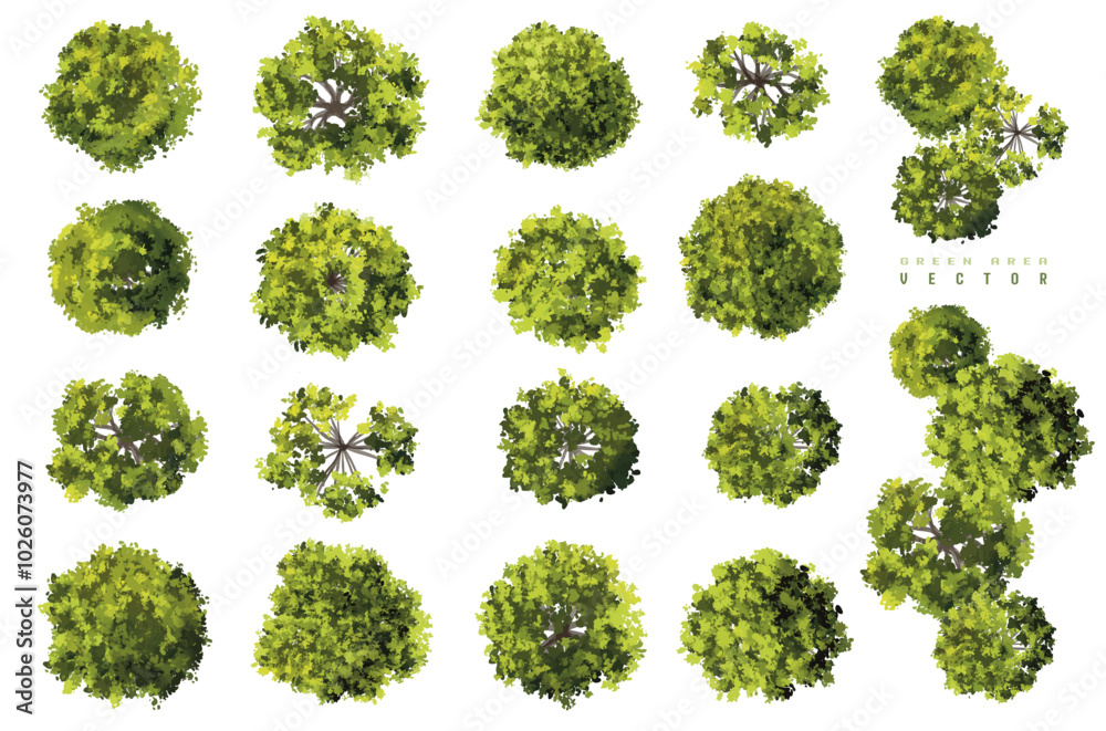 Vertor set of green tree,plants top view for landscape plan,schematic layout,eco environment concept design,watercolor greenery illustration Vertor set of green tree,plants top view for landscape plan,schematic layout,eco environment concept design,watercolor greenery illustration