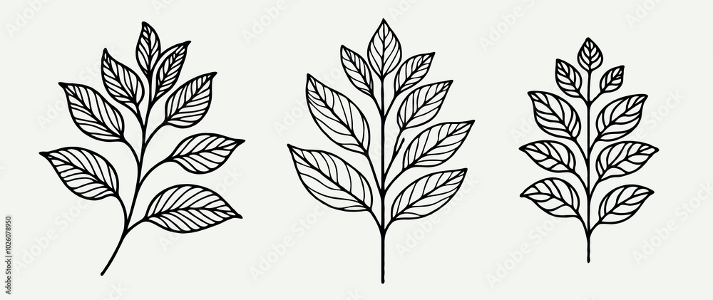 set of leaves
black and white silhouettes of leaves
seamless pattern with leaves set of leaves
black and white silhouettes of leaves
seamless pattern with leaves