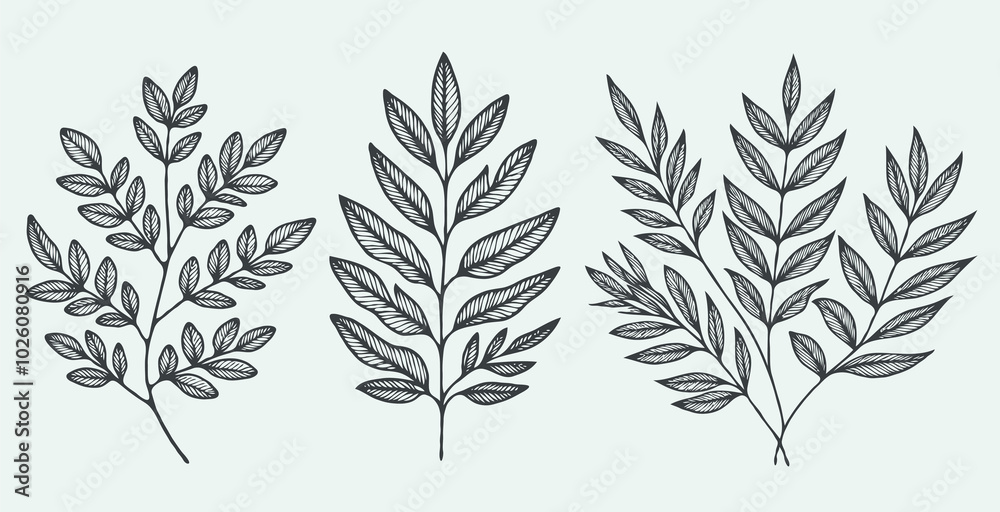 Naklejka premium illustration of a plant set of leaves black and white silhouettes of leaves seamless pattern with leaves