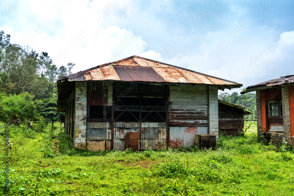 old abandoned factory